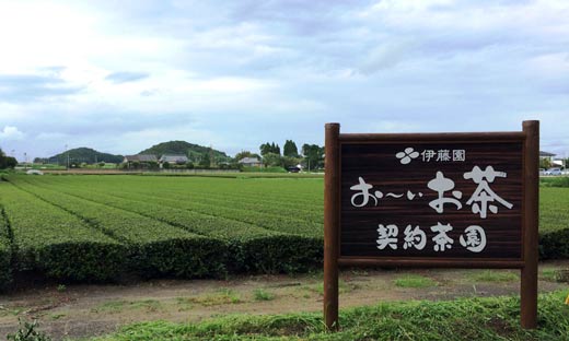 茶産地育成事業のイメージ画像（茶畑の前に立つ契約農園の看板）